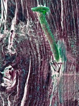 I 042C